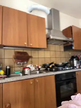 DaisyVibesss online show from March 2025 12:22:02 PM