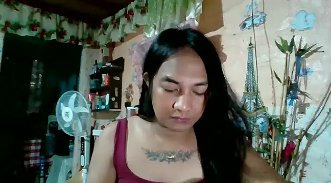 xxxstellastelarxxx online show from January 2025 07:07:02 AM