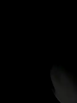 RomaLovesFamily online show from November 2025 09:26:02 AM