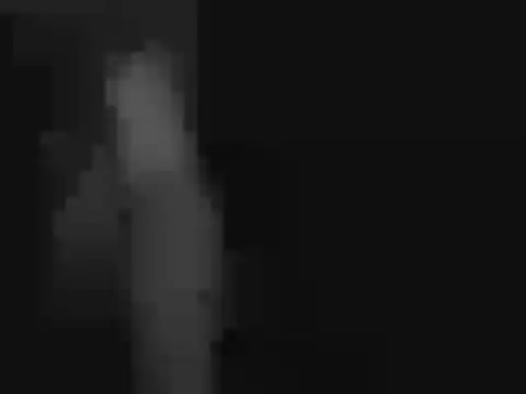 Snapshot of peaches_playz chatting on November 2025 11:54:02 AM peaches playz online show from November 2025 11:54:02 AM