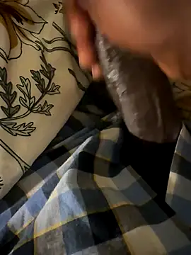 little0245 online show from November 2025 03:56:02 AM