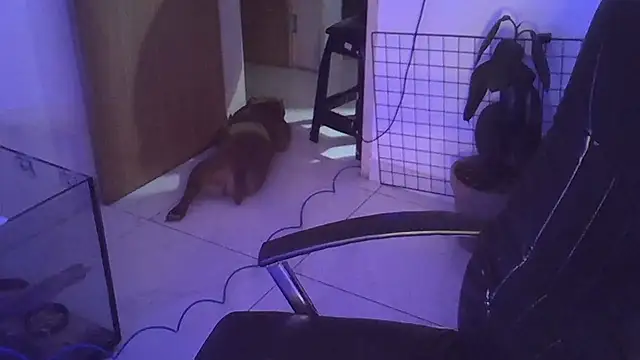 myamillor online show from December 2024 01:17:01 AM