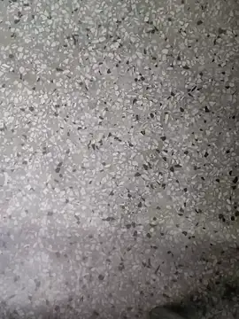 Snapshot of Rajibsorkar20 chatting on January 2025 09:19:02 PM Rajibsorkar20 online show from January 2025 09:19:02 PM