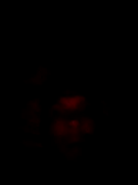 Snapshot of liderek83 chatting on October 2025 12:01:02 AM liderek83 online show from October 2025 12:01:02 AM