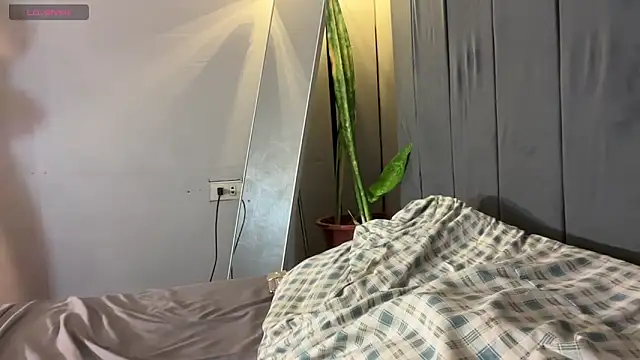 wiggle nibble online show from January 2026 07:28:02 PM