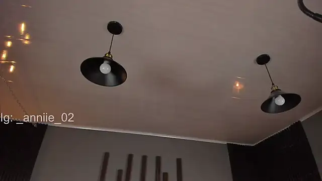 annie barozzi online show from March 2025 01:42:01 PM