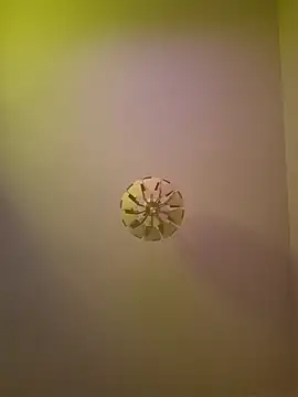 cuci45 online show from October 2025 06:28:02 PM