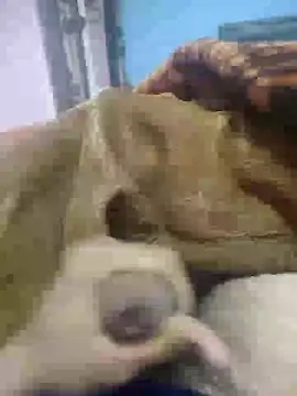 Deshilund9 online show from December 2024 09:01:01 AM