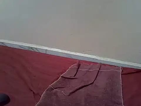 Snapshot of wetpusi chatting on February 2025 03:04:02 PM wetpusi online show from February 2025 03:04:02 PM