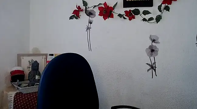 Snapshot of Liamiler01_ chatting on February 2025 03:36:02 PM Liamiler01 online show from February 2025 03:36:02 PM