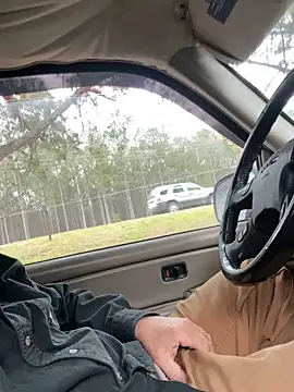 Snapshot of Themechanic420 chatting on March 2025 12:56:01 PM Themechanic420 online show from March 2025 12:56:01 PM