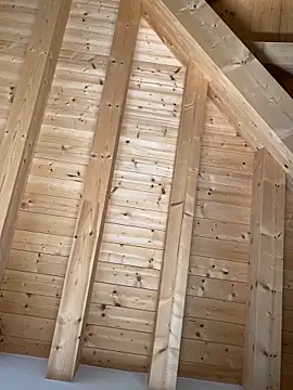 Snapshot of Fellix chatting on October 2025 11:47:02 AM Fellix online show from October 2025 11:47:02 AM