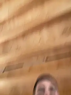 Snapshot of Fellix chatting on December 2025 11:48:01 AM Fellix online show from December 2025 11:48:01 AM