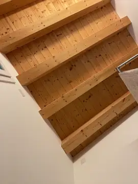 Snapshot of Fellix chatting on December 2025 10:24:01 AM Fellix online show from December 2025 10:24:01 AM