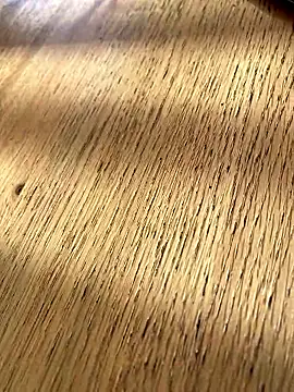 Snapshot of Fellix chatting on January 2026 11:23:02 AM Fellix online show from January 2026 11:23:02 AM