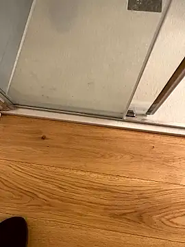 Snapshot of Fellix chatting on January 2026 03:05:01 PM Fellix online show from January 2026 03:05:01 PM