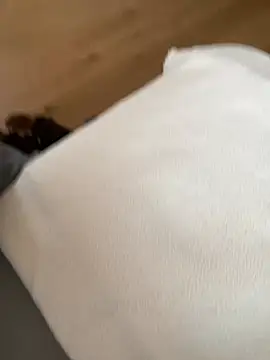 Snapshot of Fellix chatting on February 2026 11:42:02 AM Fellix online show from February 2026 11:42:02 AM