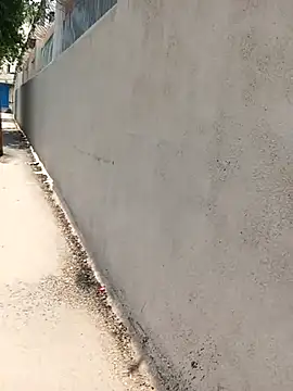Lent Medium online show from May 2026 05:15:02 AM
