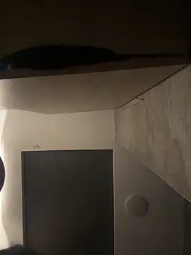 CeliWoods online show from October 2025 10:02:02 AM