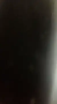 Likewise online show from December 2024 09:09:02 PM