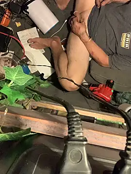 Likewise online show from February 2026 04:14:01 PM