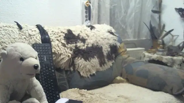 SexySantaC online show from December 2025 09:09:02 PM