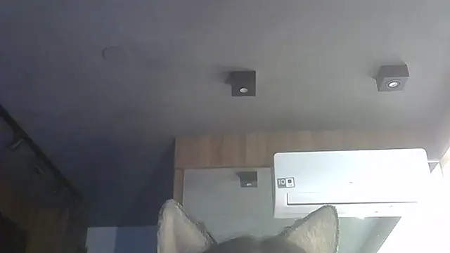 Skinny-Kitten online show from December 2025 09:47:02 AM