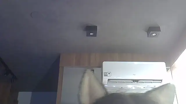 Skinny-Kitten online show from December 2025 05:18:02 PM