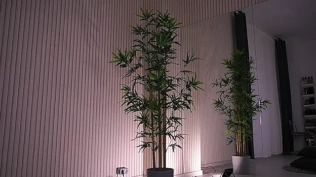 Abbela White online show from January 2025 09:39:02 AM