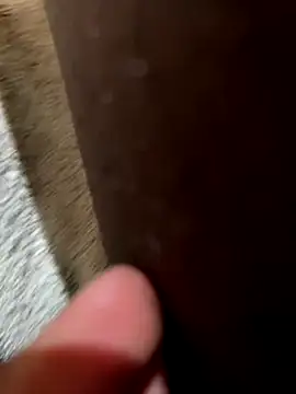 la chiennete online show from November 2025 09:30:02 PM