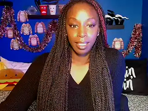 Snapshot of aliviab chatting on December 2024 11:29:01 AM aliviab online show from December 2024 11:29:01 AM