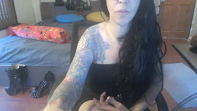 VenusX online show from September 2025 05:09:02 AM