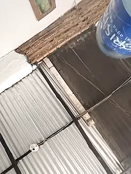 Yelly online show from February 2026 03:40:02 PM