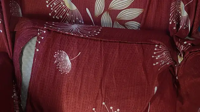 -AyeshaSinghania- online show from October 2025 08:48:02 AM