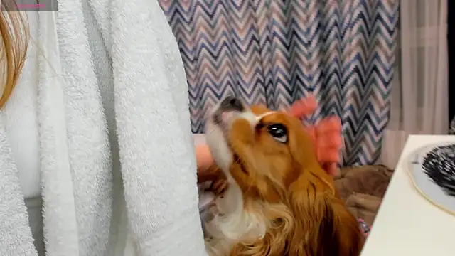 Peggy Beauty online show from January 2025 12:19:02 AM