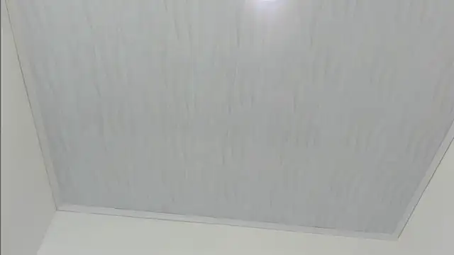 merlyna goldens online show from November 2025 11:31:02 AM