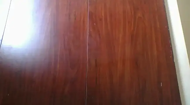 Snapshot of prettychic5 chatting on December 2024 12:33:02 PM prettychic5 online show from December 2024 12:33:02 PM