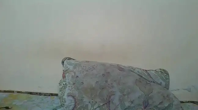 Snapshot of prettychic5 chatting on January 2025 06:34:02 AM prettychic5 online show from January 2025 06:34:02 AM