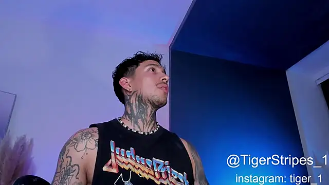 Snapshot of TigerStripes1_ chatting on February 2025 02:37:01 AM TigerStripes1 online show from February 2025 02:37:01 AM