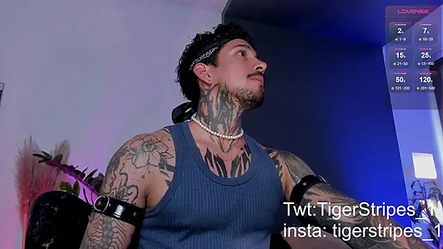 Snapshot of TigerStripes1_ chatting on March 2025 08:54:01 PM TigerStripes1 online show from March 2025 08:54:01 PM