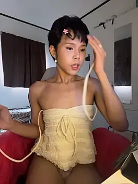 Plaxtique online show from January 2026 01:31:02 AM